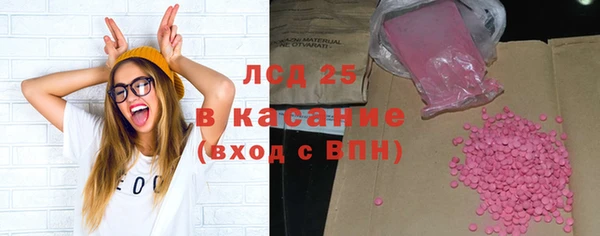 шишки Пересвет