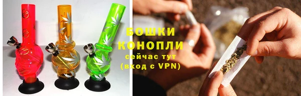 шишки Пересвет